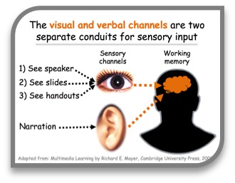 Diagram caption: "The visual and verbal channels are two separate conduits for sensory input"
