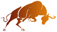 A charging bull