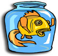 Goldfish in a bowl