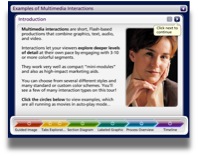 Multimedia Interaction Example 1 - Section Diagram